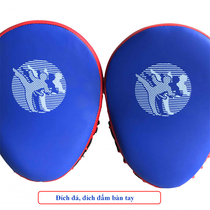 Đích đấm đích đỡ bàn tay tập võ thuật Vstar DT90