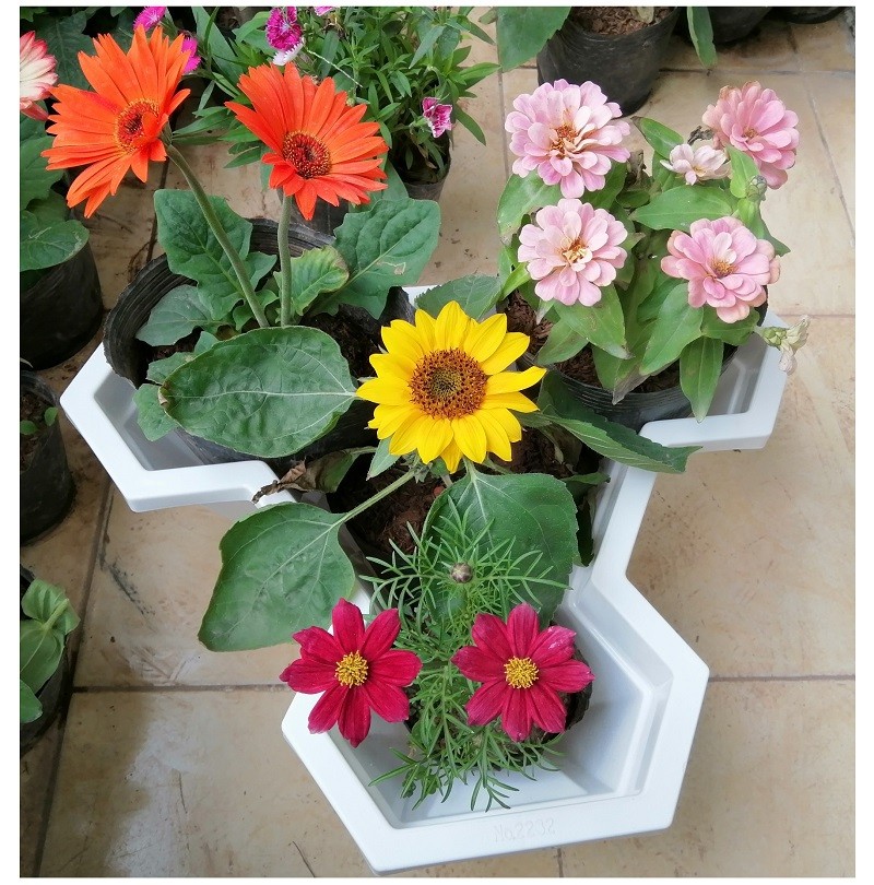 Chậu nhựa trồng cây lục giác xếp tầng hàng nhựa Việt Nhật trậu trồng dâu tây siêu thị thành luân cơ sở 268