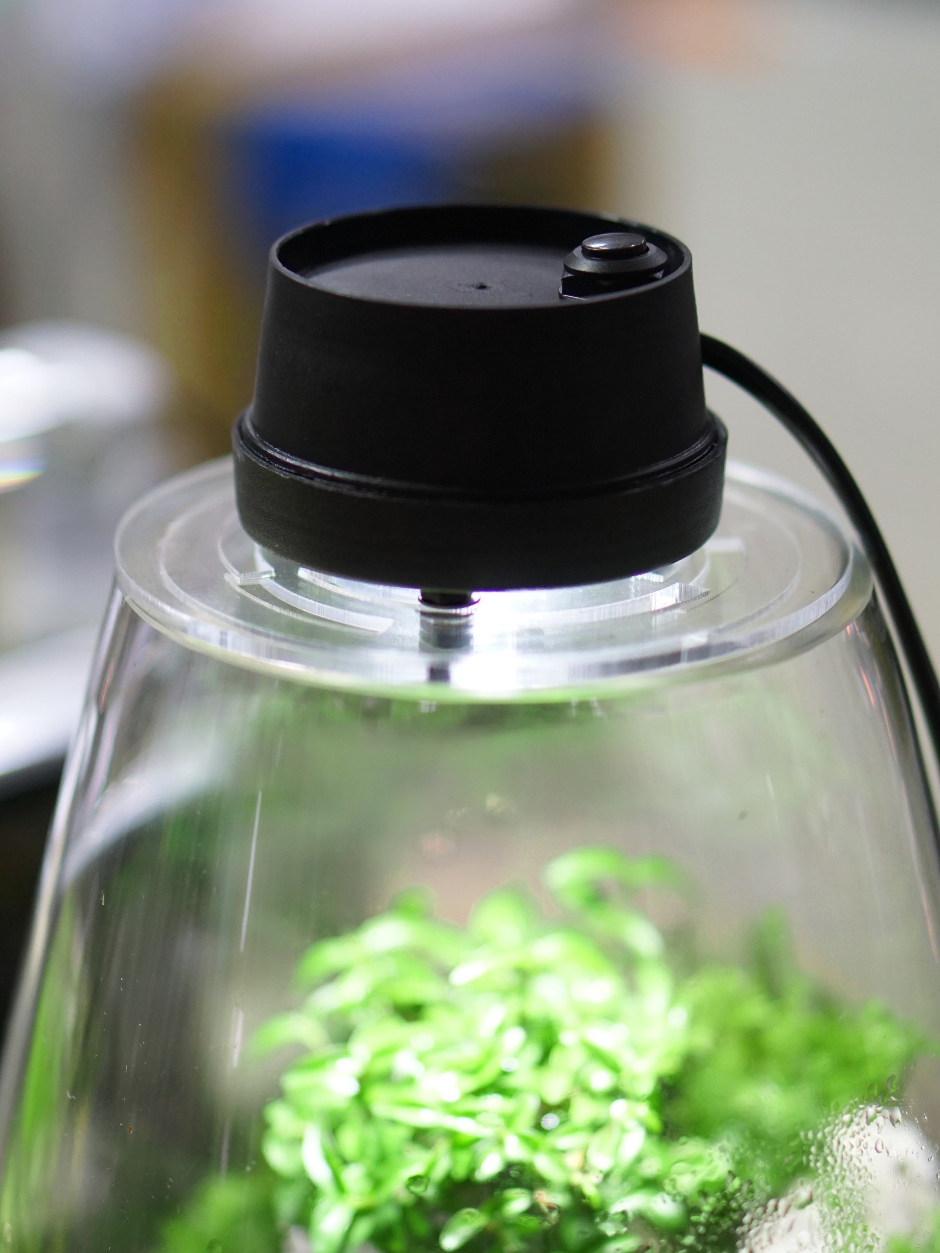 Nắp đèn cho bình terrarium hàng đặt 3w size 9cm