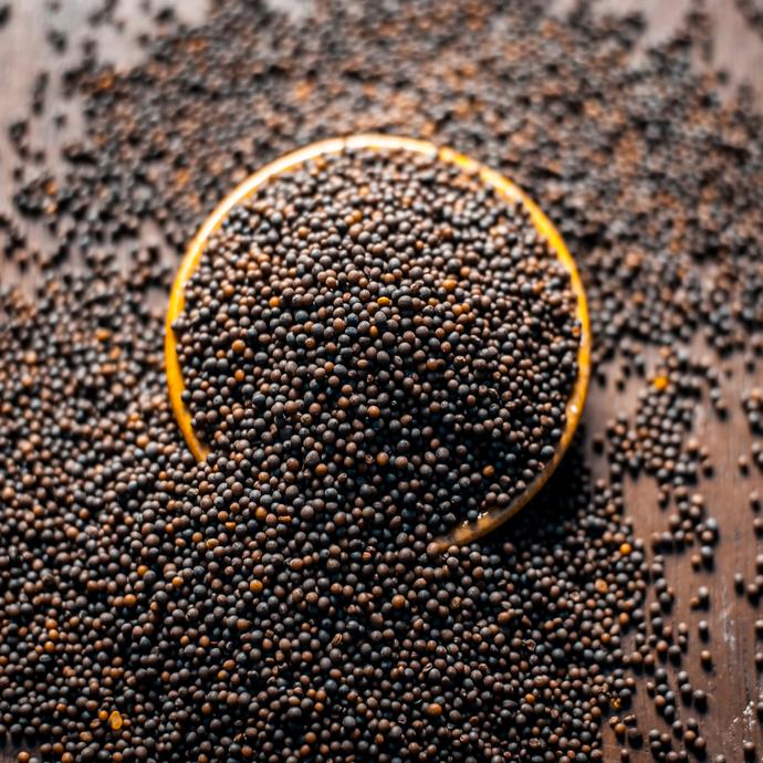 Black Mustard seeds - Sarso - Hạt Mù Tạt Rai/Sarson k dane