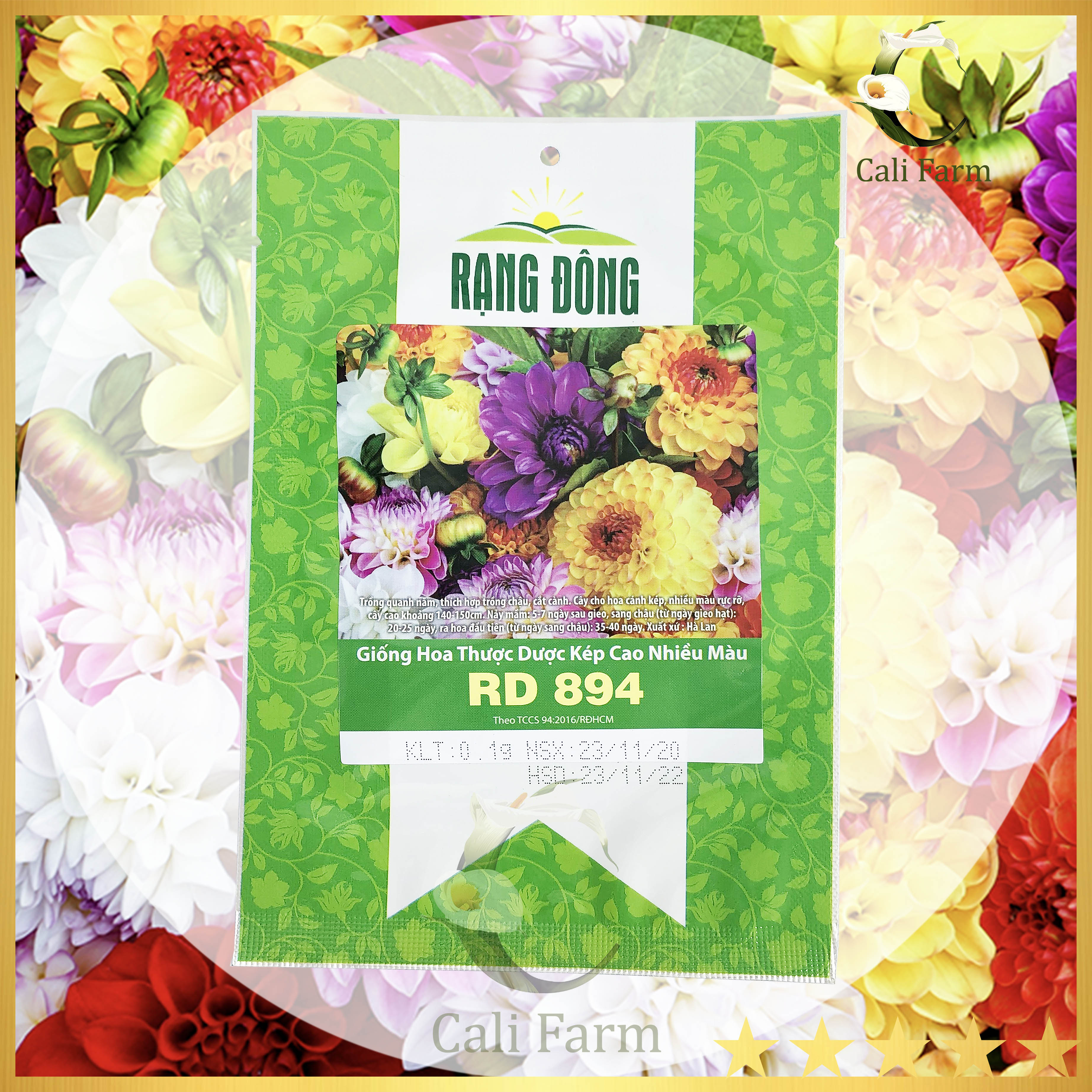 Hạt giống hoa thược dược kép cao nhiều màu rd 894