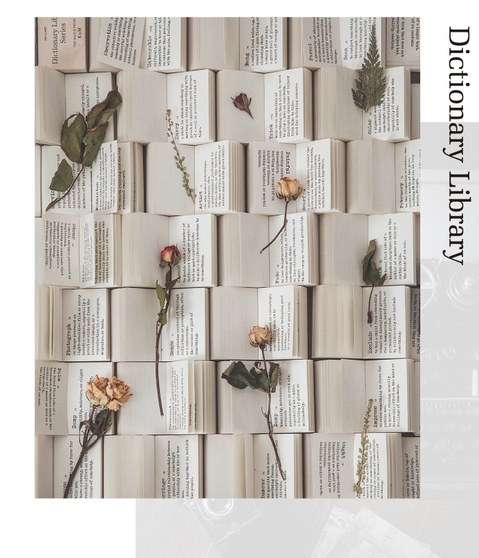 Dictionary Library - 100 trang từ điển đóng cuốn