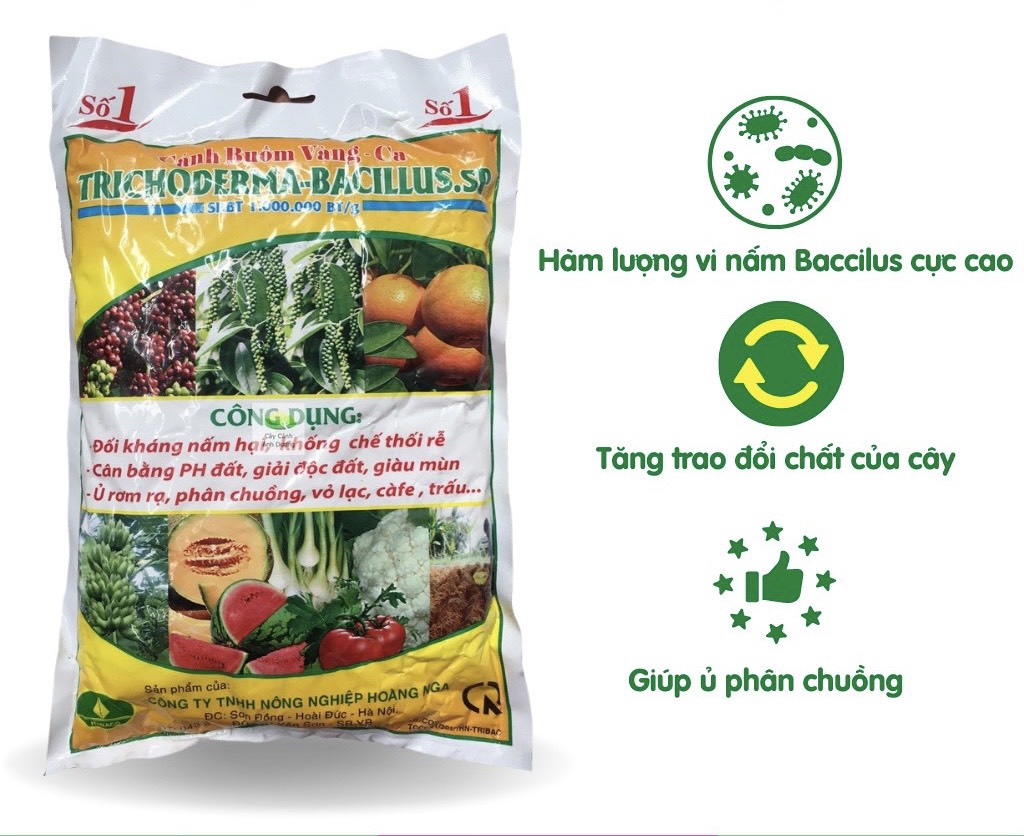 Chế phẩm sinh học trichoderma 1kg - ủ phân chuồng ,đối kháng nấm hại ,giải độc đất, giàu mùn, cải tạo đất