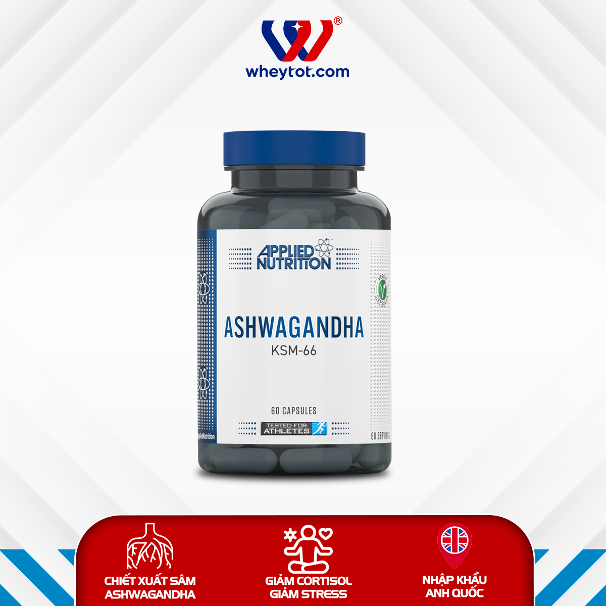 Applied nutrition ashwagandha 60 viên