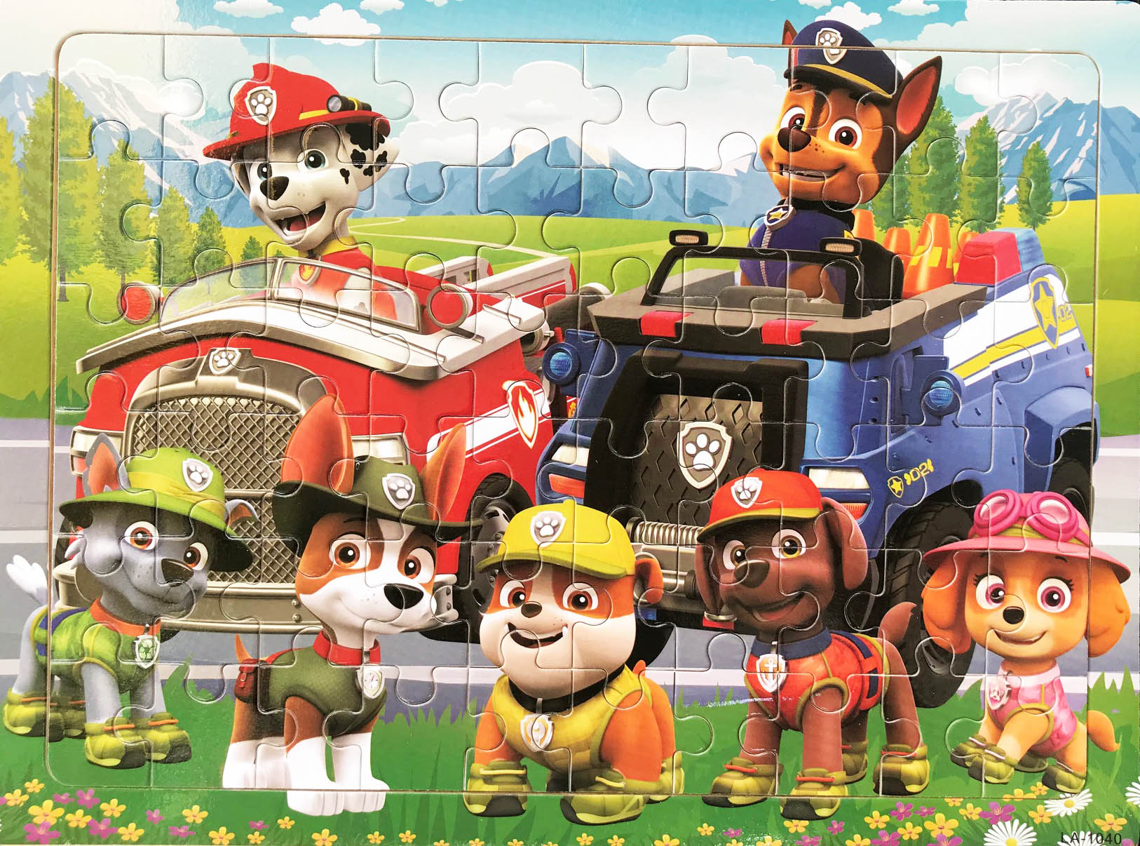 OFFICIAL PAW PATROL WALLPAPER KIDS BEDROOM FEATURE WALL NEW FREE PP  5060322094281  eBay