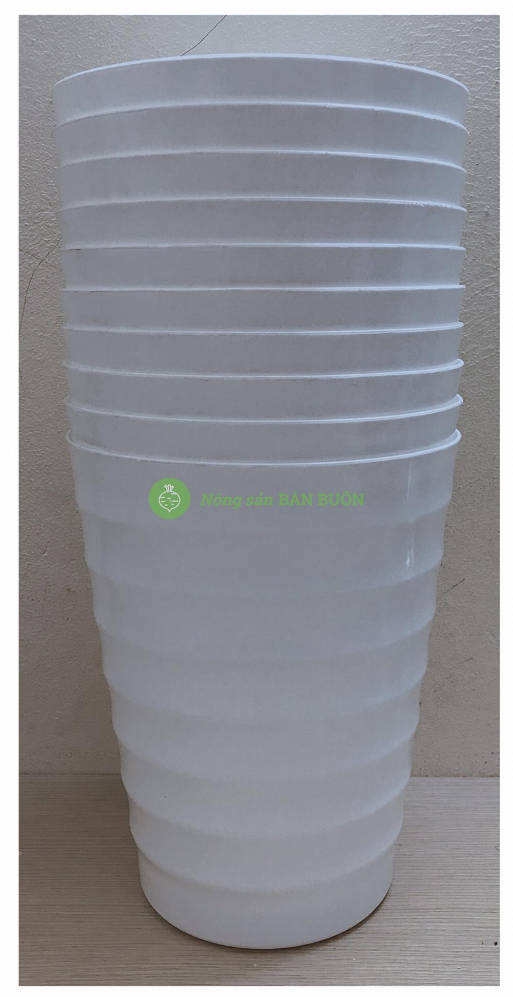 10 Chậu Nhựa Trồng Hoa Cây Cảnh VT 245x167x300 Bình Thuận Plastics