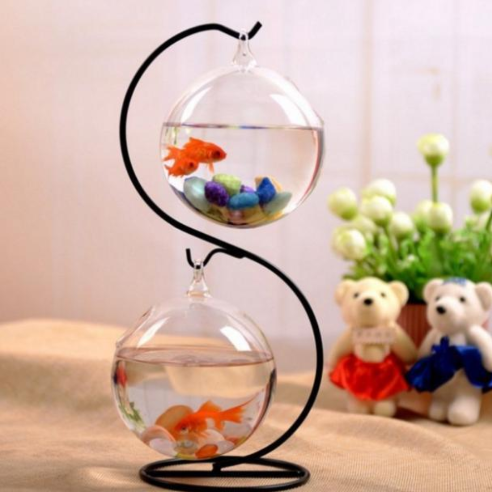 Bể cá mini treo trên khung để bàn chữ S