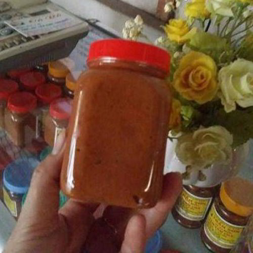 MẮM TÔM CHÀ GÒ CÔNG (HŨ 250GR)