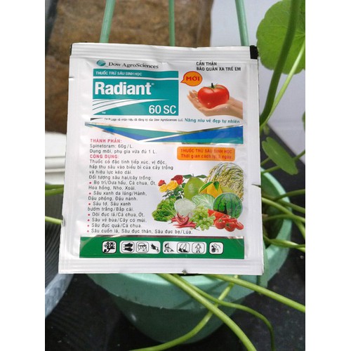 THUỐC TRỪ BỌ TRĨ SÂU TƠ RADIANT(TRÁI CÀ)