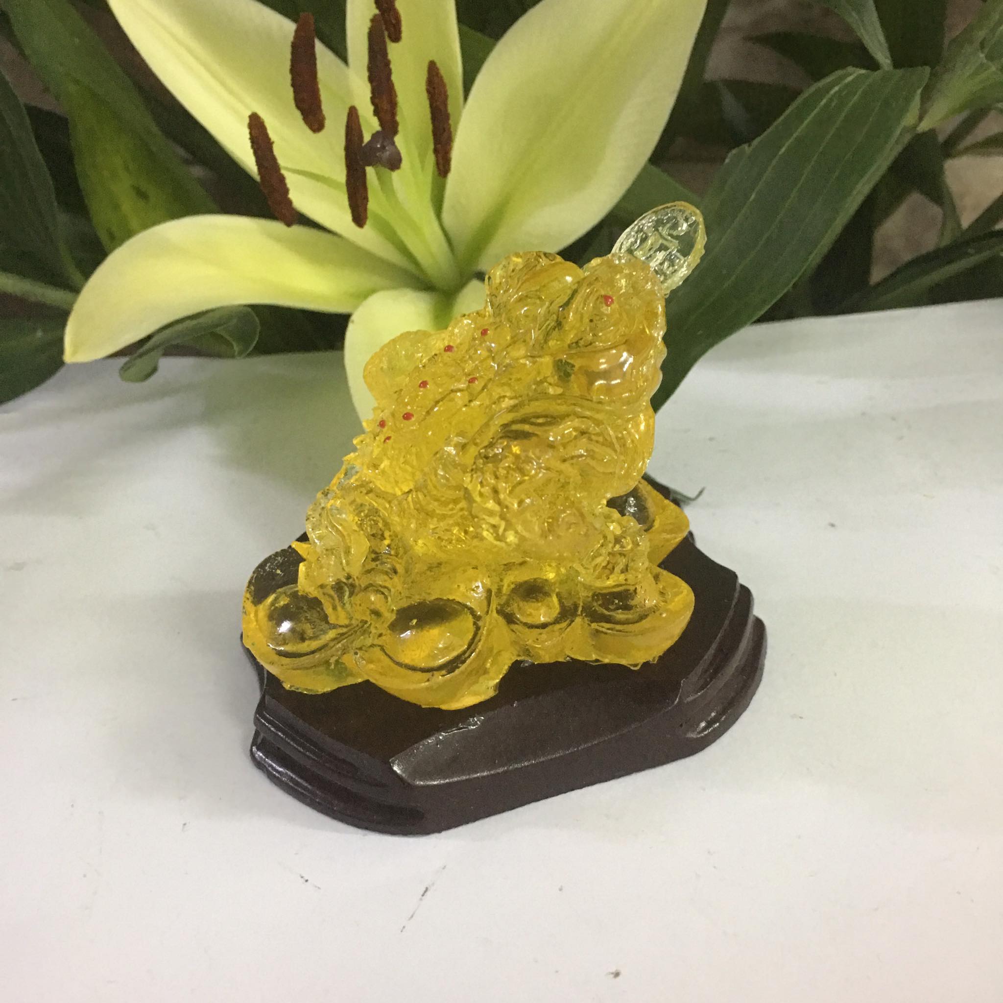 Thiềm thừ mang tài lộc cỡ nhỏ