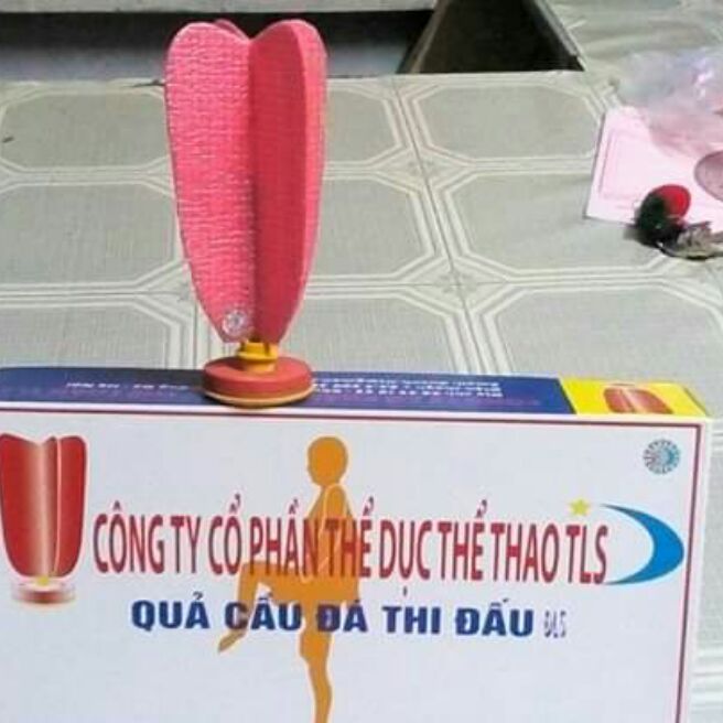 Quả cầu đá đls