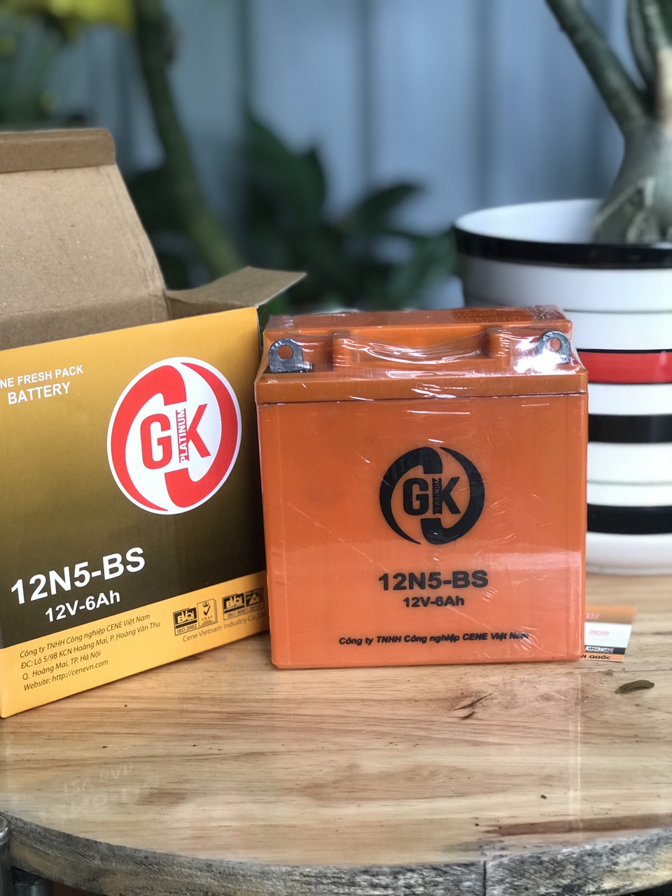 [HCM]binh ắc quy xe dreamwave bình khô 12v-6a hiệu gk