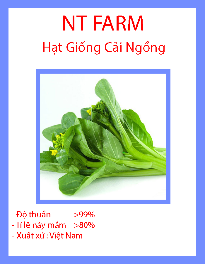Hạt Giống Rau Cải Ngồng