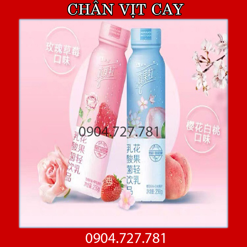 Sữa chua uống❤️ FREESHIP❤️ Sữa chua uống Chân Quả Lạp Tiêu Chiến đại ngôn-Vị hoa quả siêu ngon, bổ dưỡng