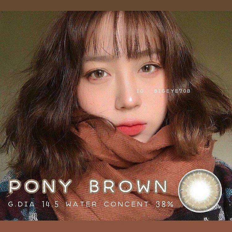 [HCM]Lens - kính áp trồng nâu tây sử dụng 1 năm tặng kèm khây đựng