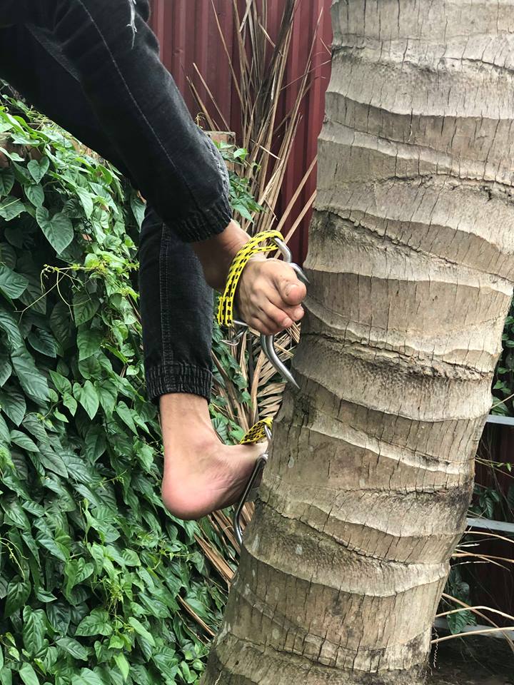 Bộ dụng cụ hỗ trợ trèo cây