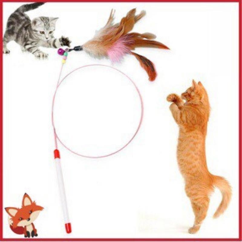 Đồ chơi cần câu mèo có gắn lông vũ và chuông đồ chơi huấn luyện mèo