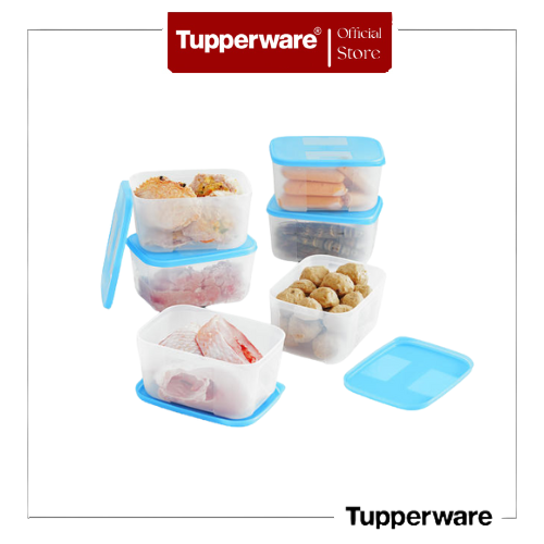 Bộ Hộp Trữ Đông Freezermate 650ml - Tupperware