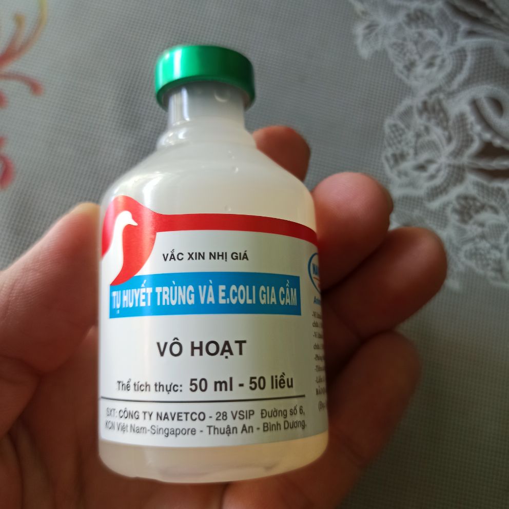 Vac...cin Tụ Huyết Trùng ecoli