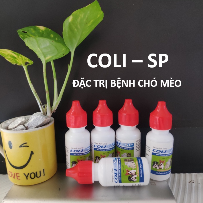 Lọ Coli-SP 10ml dung dịch đặc trị các bệnh ở chó mèo