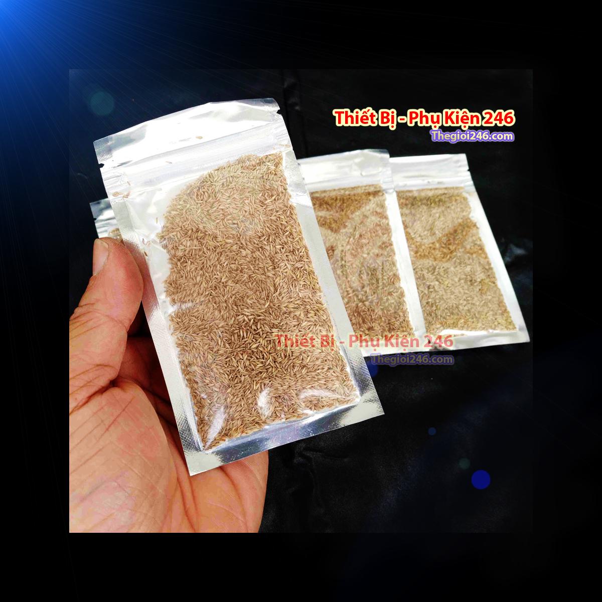 Hạt giống thủy sinh Cỏ ngưu mao chiên