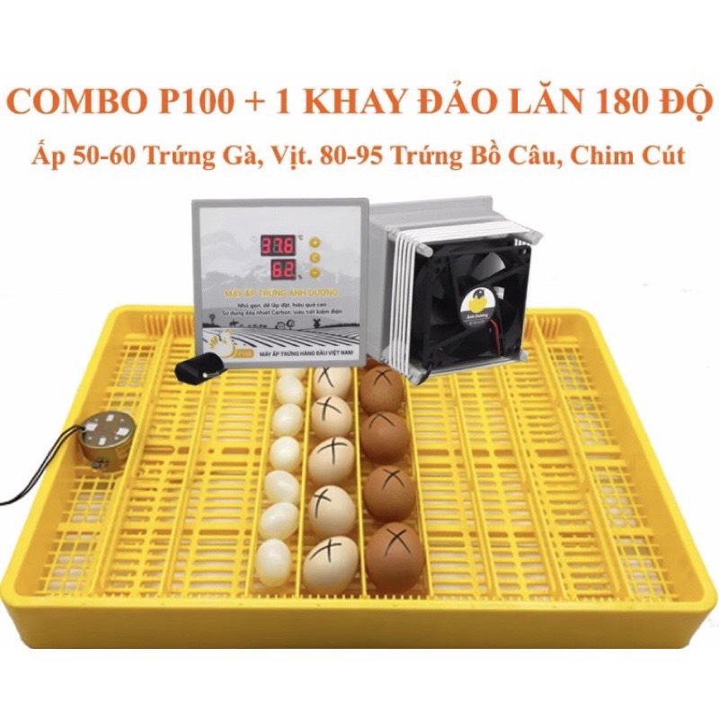Máy Ấp Trứng Gà Mini Ánh Dương P100 Kèm Khay Đảo Tự Động 54 Đến 60 Trứng Gà, Máy Ấp Trứng Đa Năng