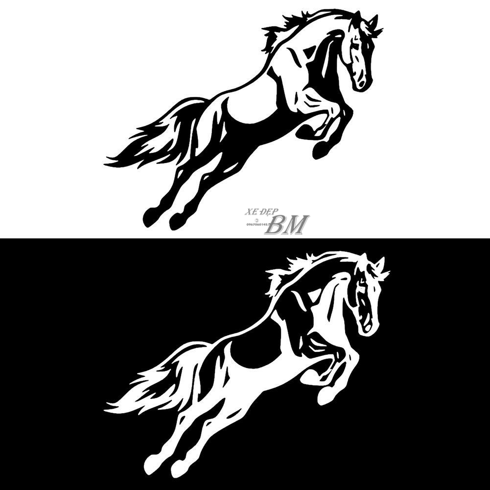 30 cách vẽ hình vẽ con ngựa vằn đẹp mắt và sinh động