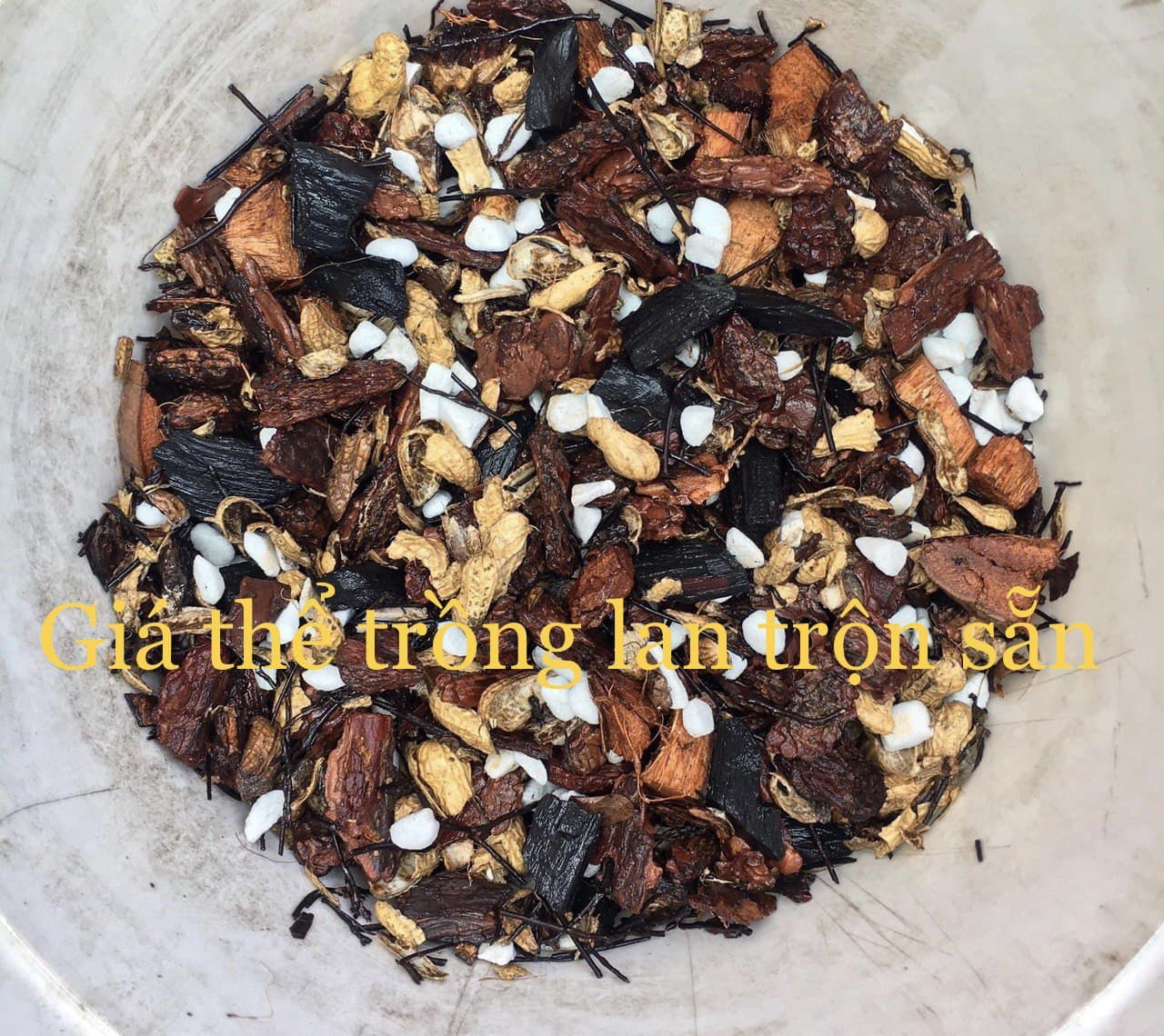 Giá thể trồng hoa lan 1989, giá thể dinh dưỡng trồng lan phi điệp, Lan kiếm, Lan Dendro, Cattleya, Hồ Điệp, Vũ Nữ, Ngọc Điểm và các loại lan khác