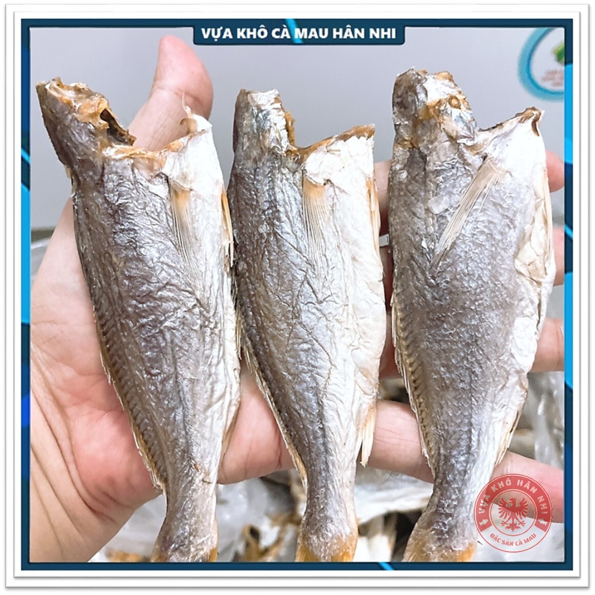 Khô cá đù mặn cà mau size trung