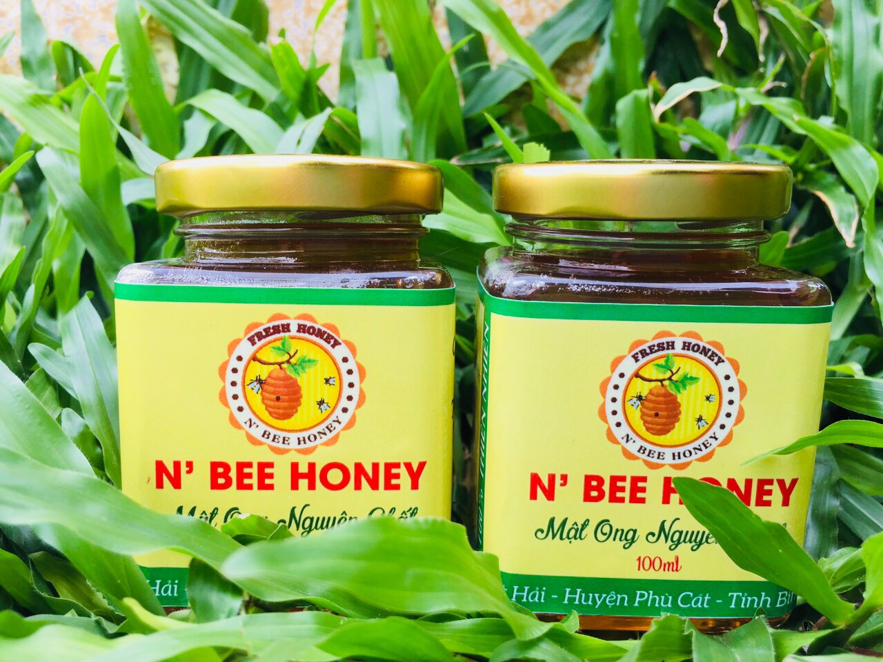 Mật ong rừng nguyên chất Núi Bà - chai 100ml