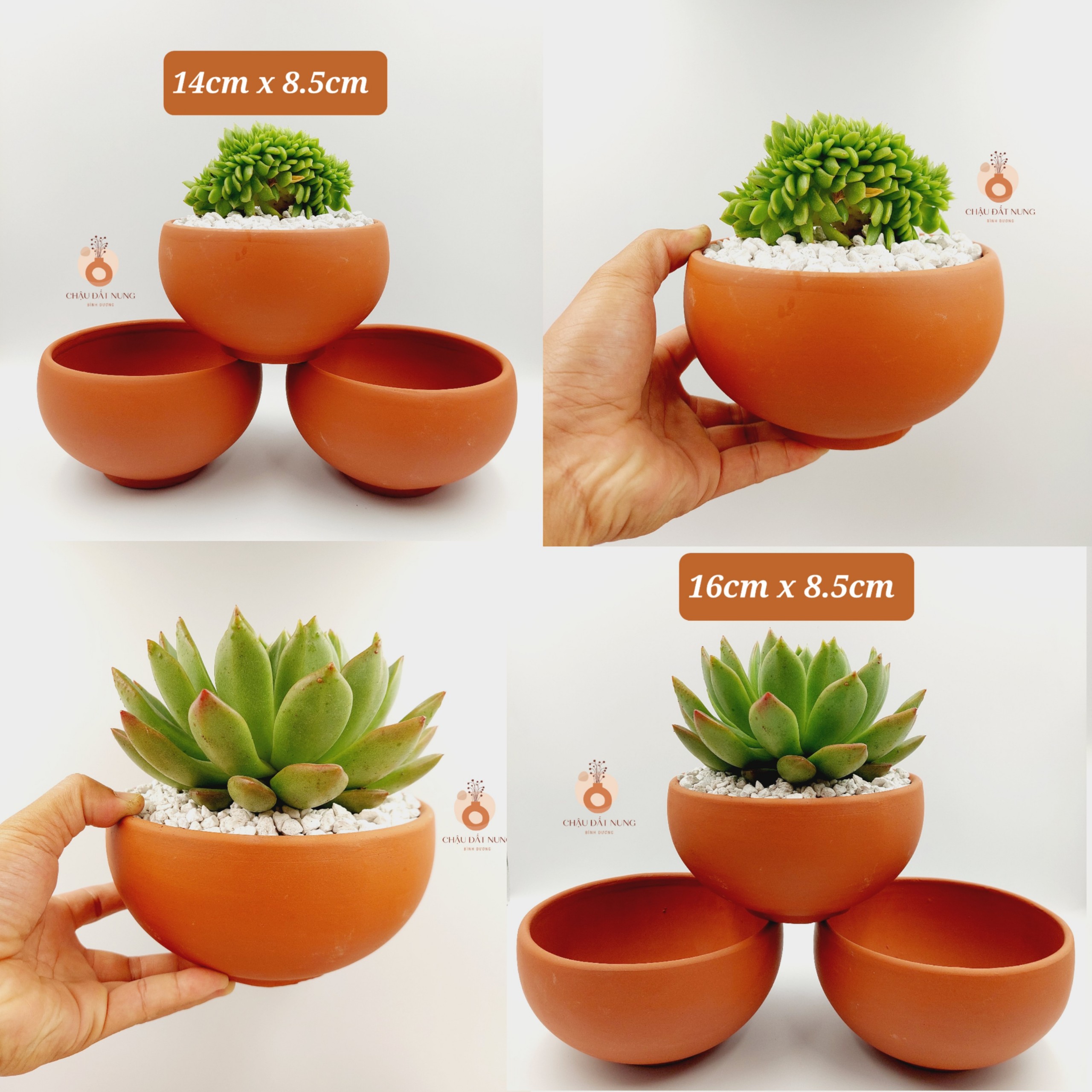 Chậu đất nung - tô 1610, miệng chậu 14-16cm, chiều cao 8.5cm