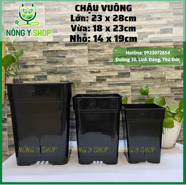 Chậu nhựa vuông cứng trồng cây cảnh, kiểng, trồng hoa, thoát nước tốt, gọn, dày dặn, chậu nhựa đen