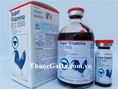 B12 5500 Bổ Sung Chất Dinh Dưỡng Cho Gà Đá (20ml)