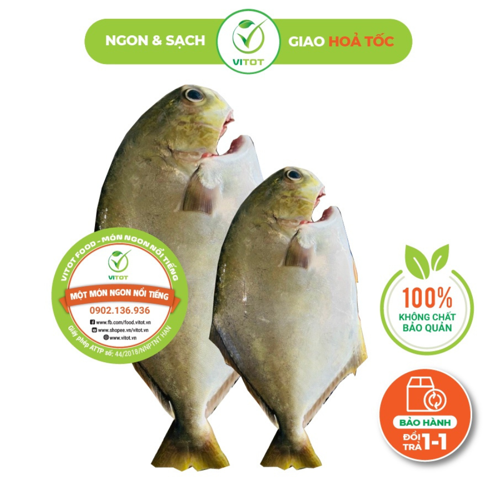 VITOT FOOD-Siêu Phẩm Cá Chim Vàng Anh Vitot Ngon (600g-1000g /1-2 con)