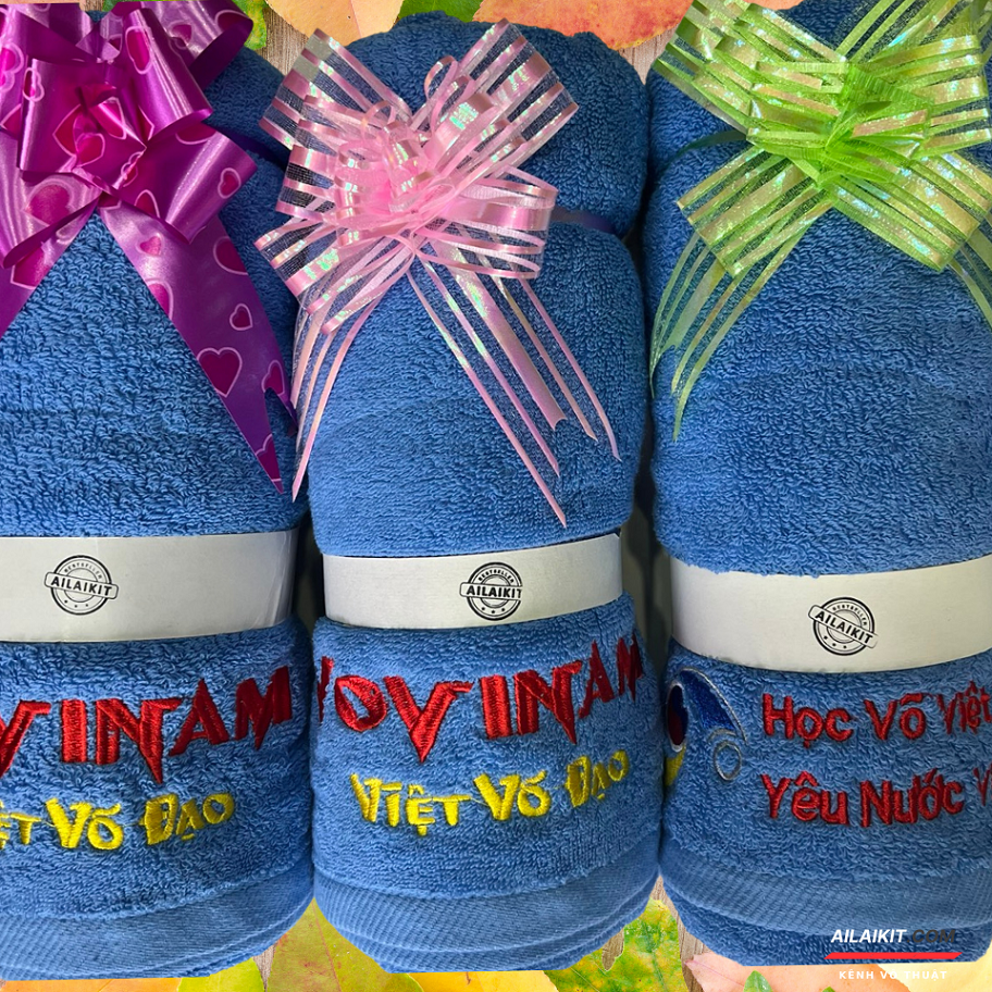 Cao Cấp Lưu Niệm Vovinam Ailaikit