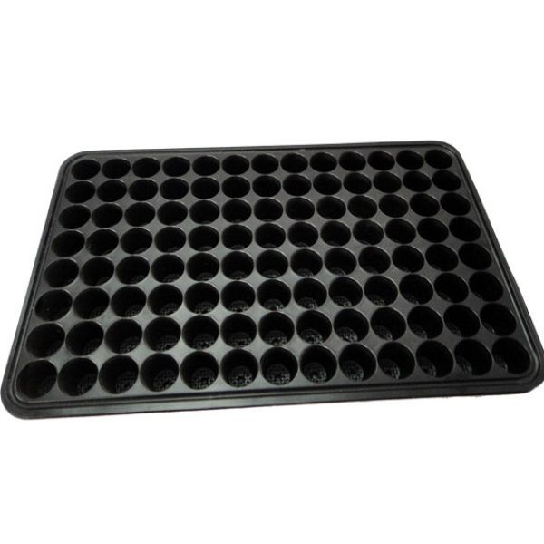 5 Khay ươm hạt vỉ ươm hạt 104 lỗ giá rẻ