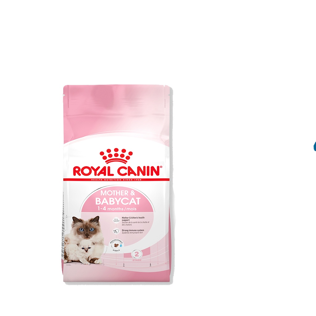 Thức ăn hạt Royal Canin Mother & Babycat giúp các bé mèo mẹ, mèo con bổ sung dinh dưỡng 2Kg
