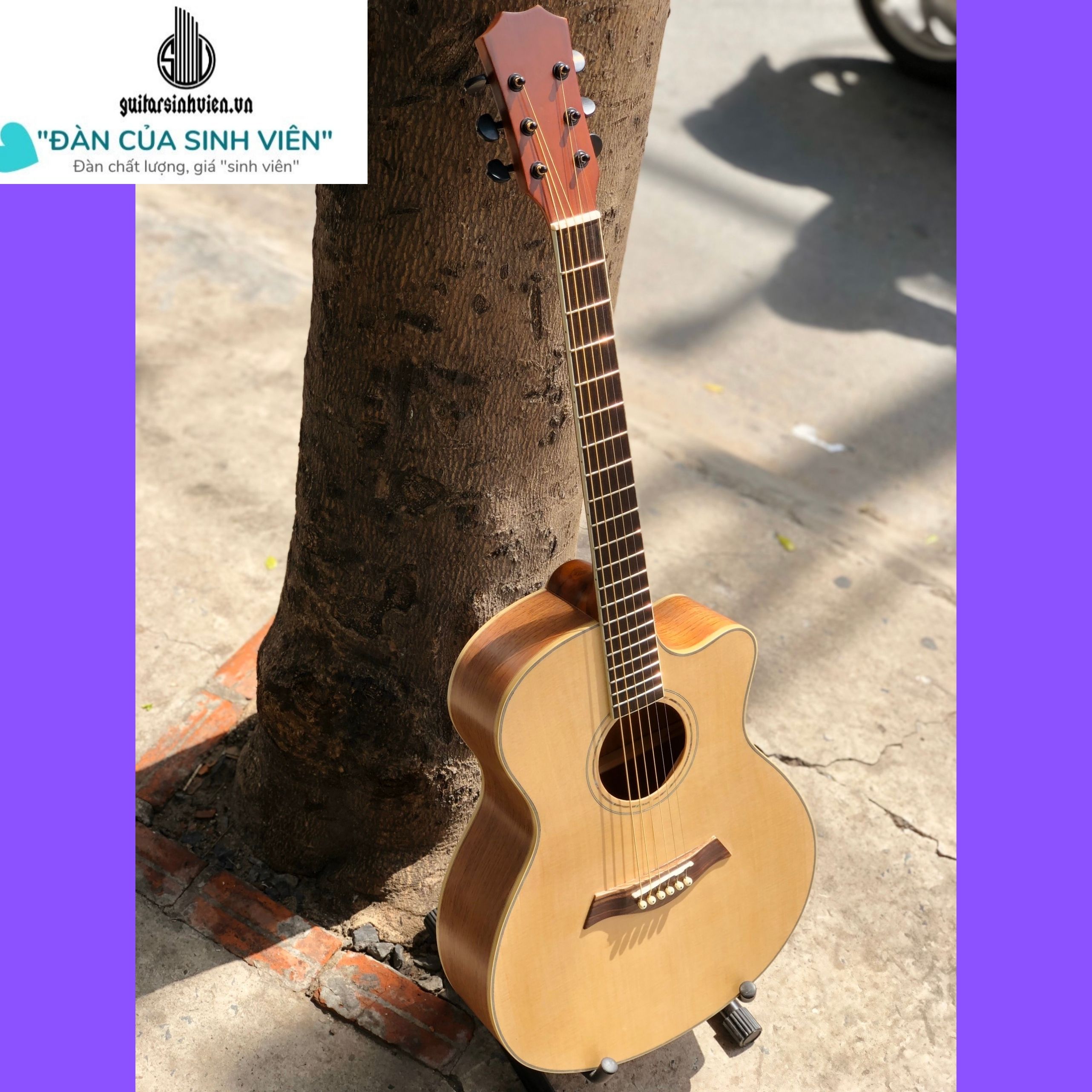 Đàn guitar acoustic gỗ hồng đào kĩ cao cấp SV-A4
