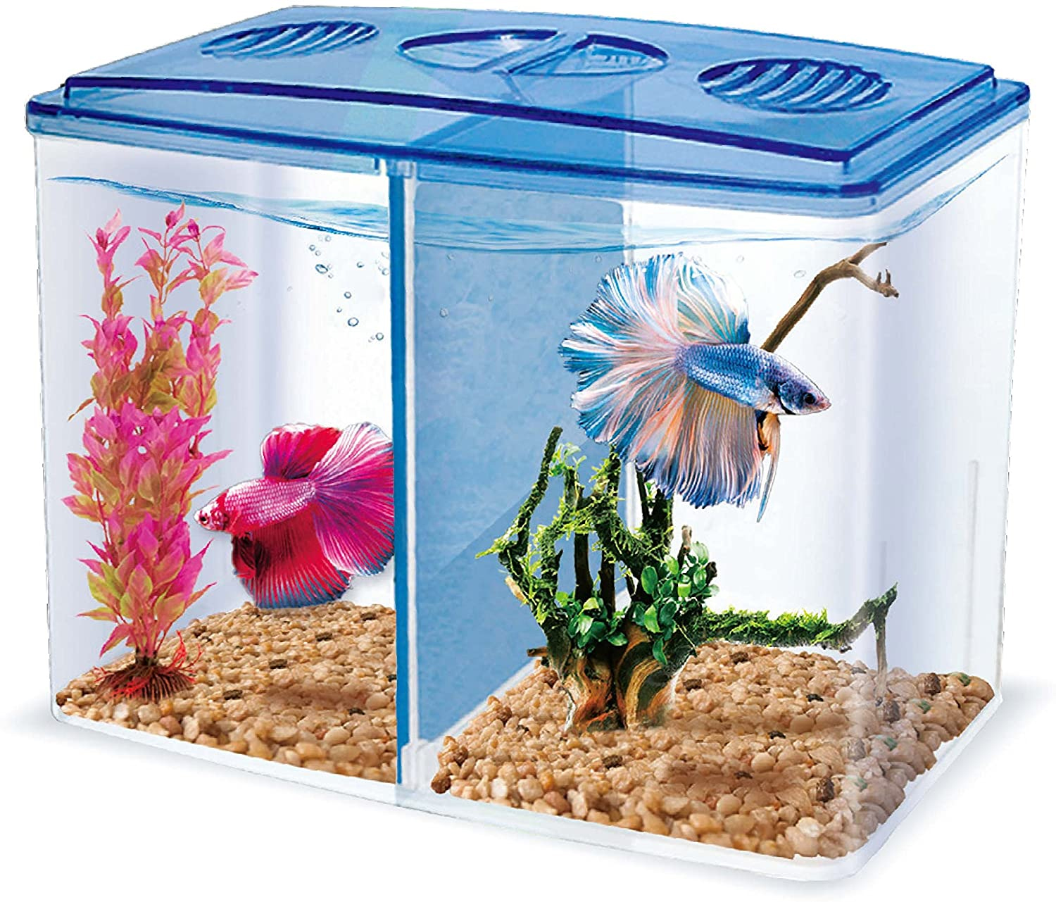 Bể cá cảnh mini 20x15x9cm, 2 ngăn, siêu tiện lợi để bàn