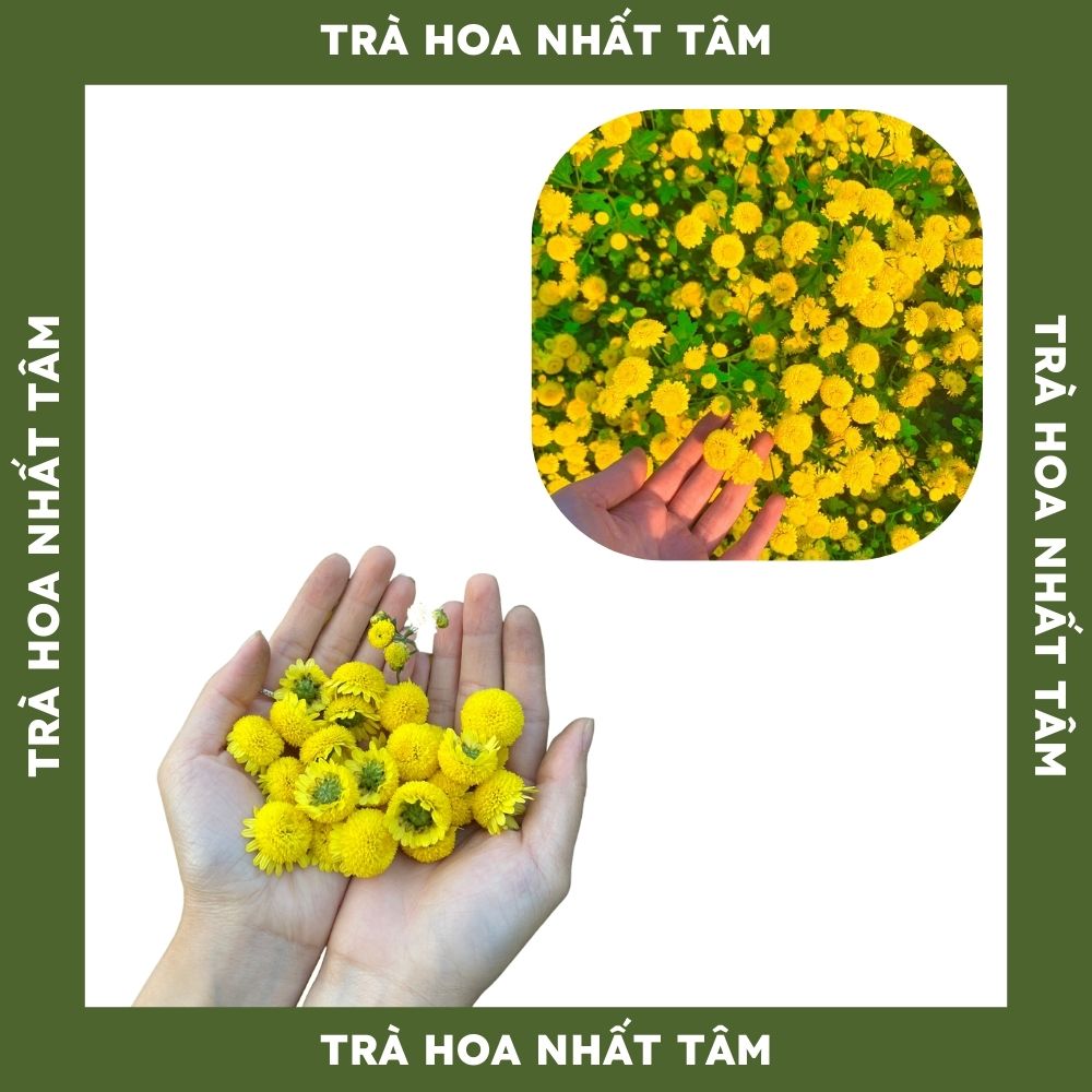 Trà cúc chi sấy lạnh tự nhiên 100g