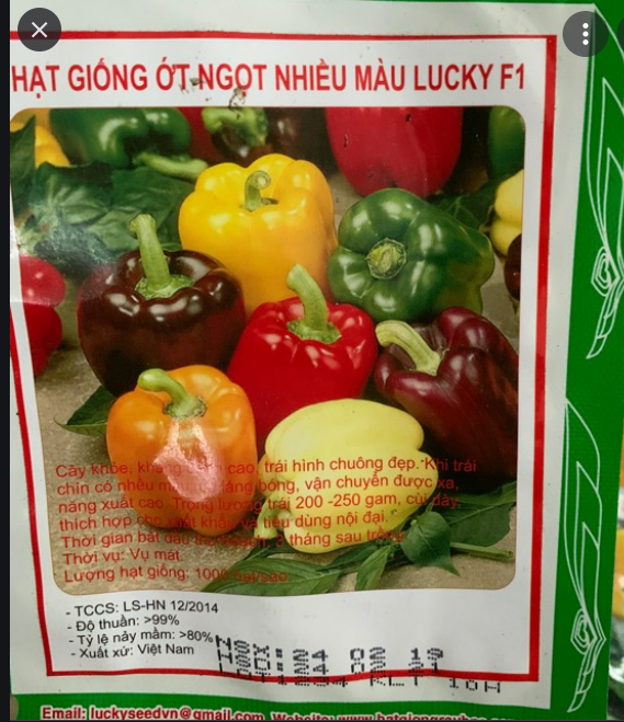 Hạt Giống Ớt Ngọt Nhiều Mầu Lucky