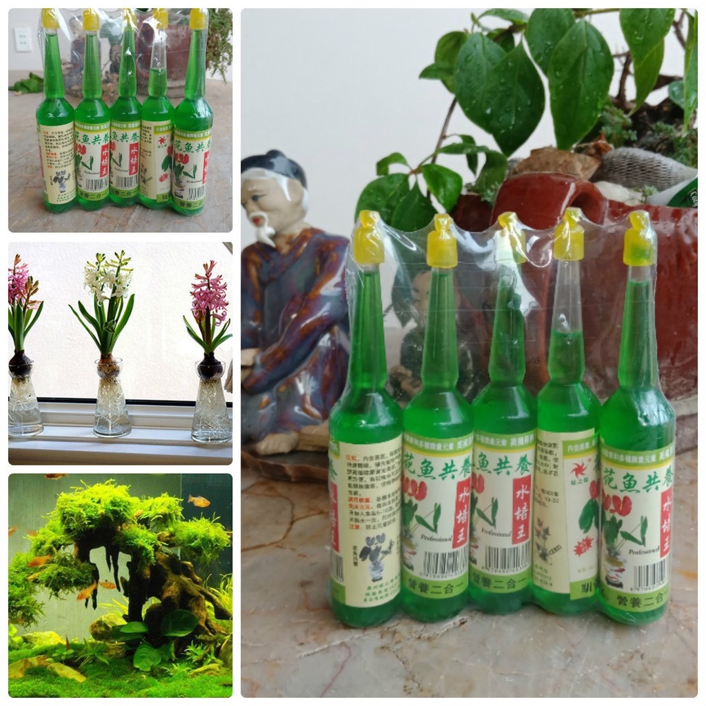 Vĩ 5 lọ Dinh dưỡng Thủy Canh xanh chuyên dùng cho cây trồng thủy sinh, hoa ,cây cảnh, bể cá.