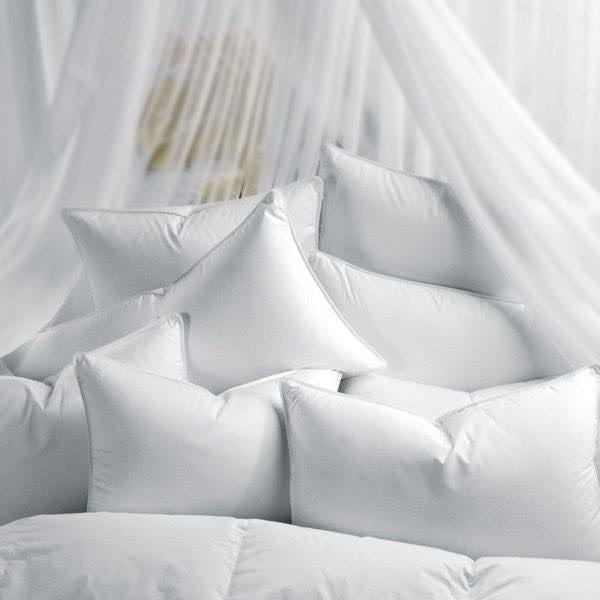 Ruột gối nằm poly cotton và gối ôm size 35x1m