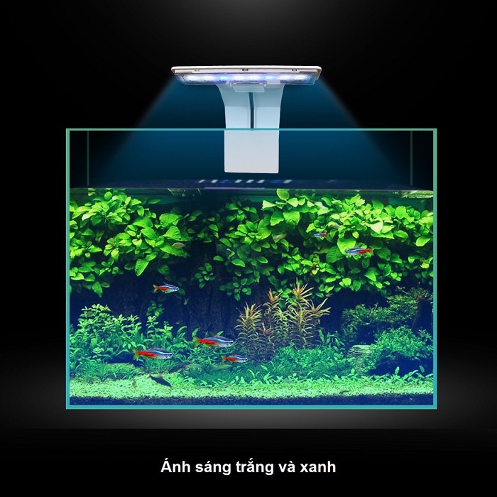 "hoàn tiền đến 10%" đèn led kẹp hồ cá vipsun m180 hồ 15 đến 25cm