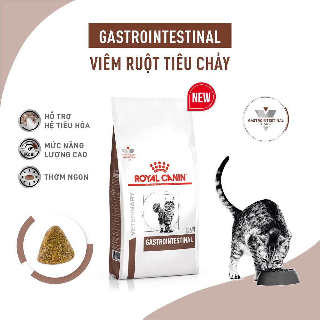 THỨC ĂN HẠT CHO MÈO CÓ VẤN ĐỀ VỀ TIÊU HÓA (TÁO BÓN) - ROYAL CANIN FIBRE RESPONSE