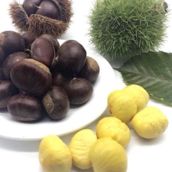 [Hạt DẺ sống HẠT to cơm vàng mới] HẠT DẺ  NGON Hạt Dẻ tươi sống chế biến các món ăn ngon dinh dưỡng. Đồ ăn vặt