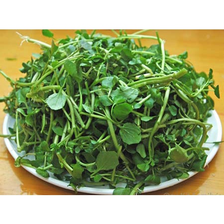 Hạt giống xà lách xoong