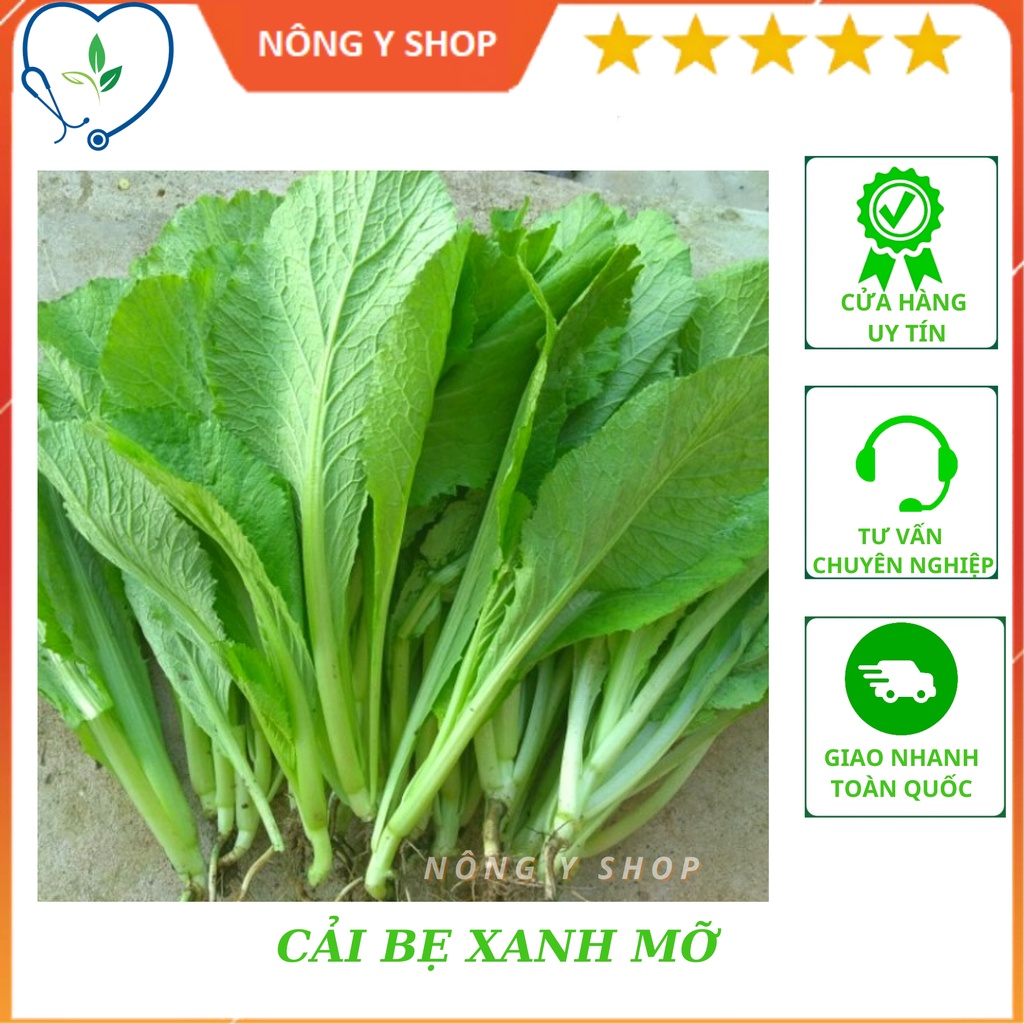 Hạt giống cải bẹ xanh mỡ rạng đông rado 57 - 20g