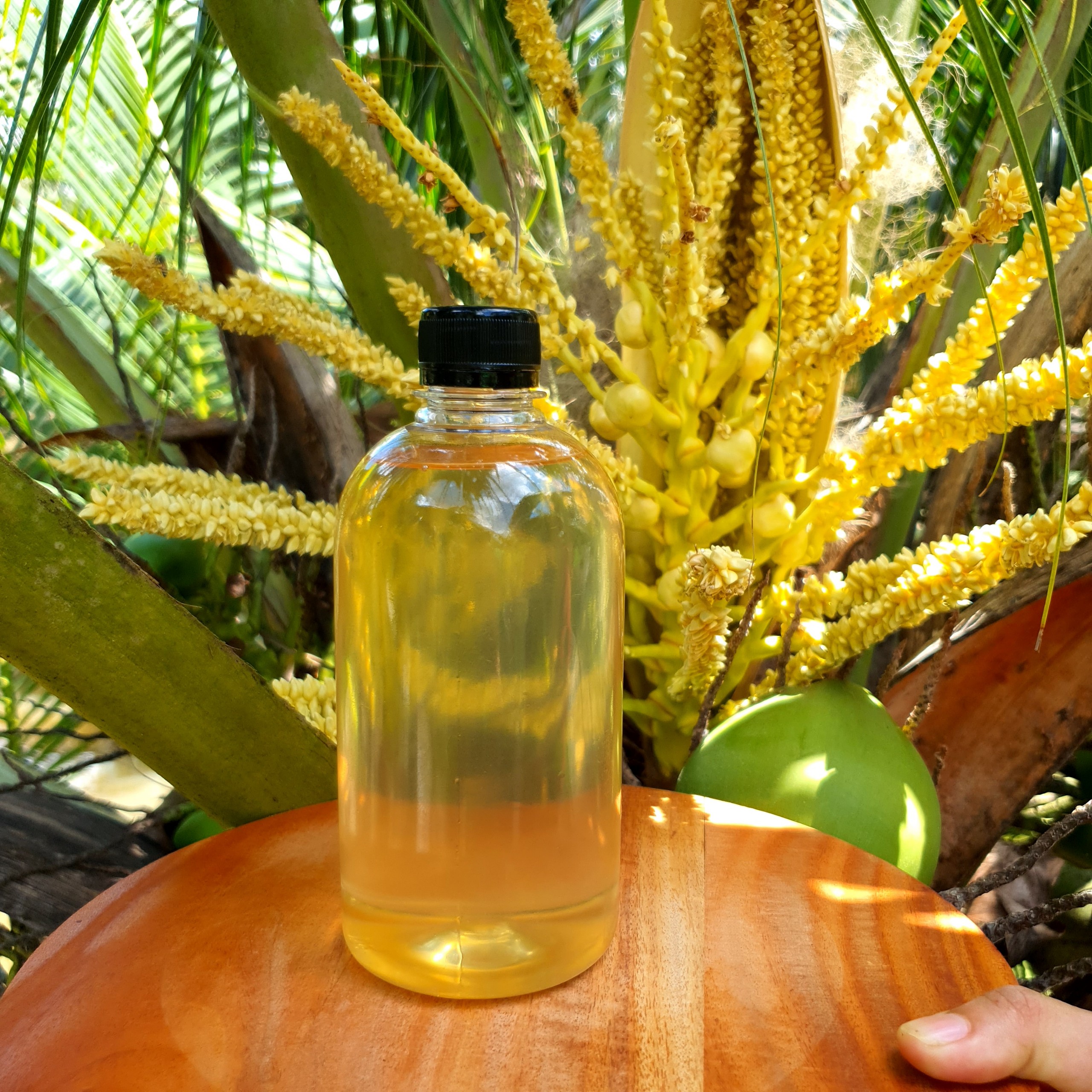 Dầu dừa nấu thủ công nhà làm chai 500ml