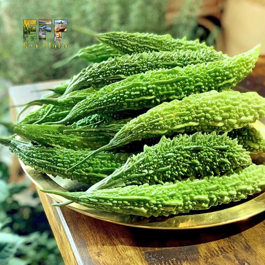 1 Thùng 6Kg Khổ Qua Rừng Đắk Lắk Eco FloFo Đạt Chuẩn VietGAP (Chỉ Bán Hàng Loại A+ Được Tuyển Chọn Để Xuất Khẩu)